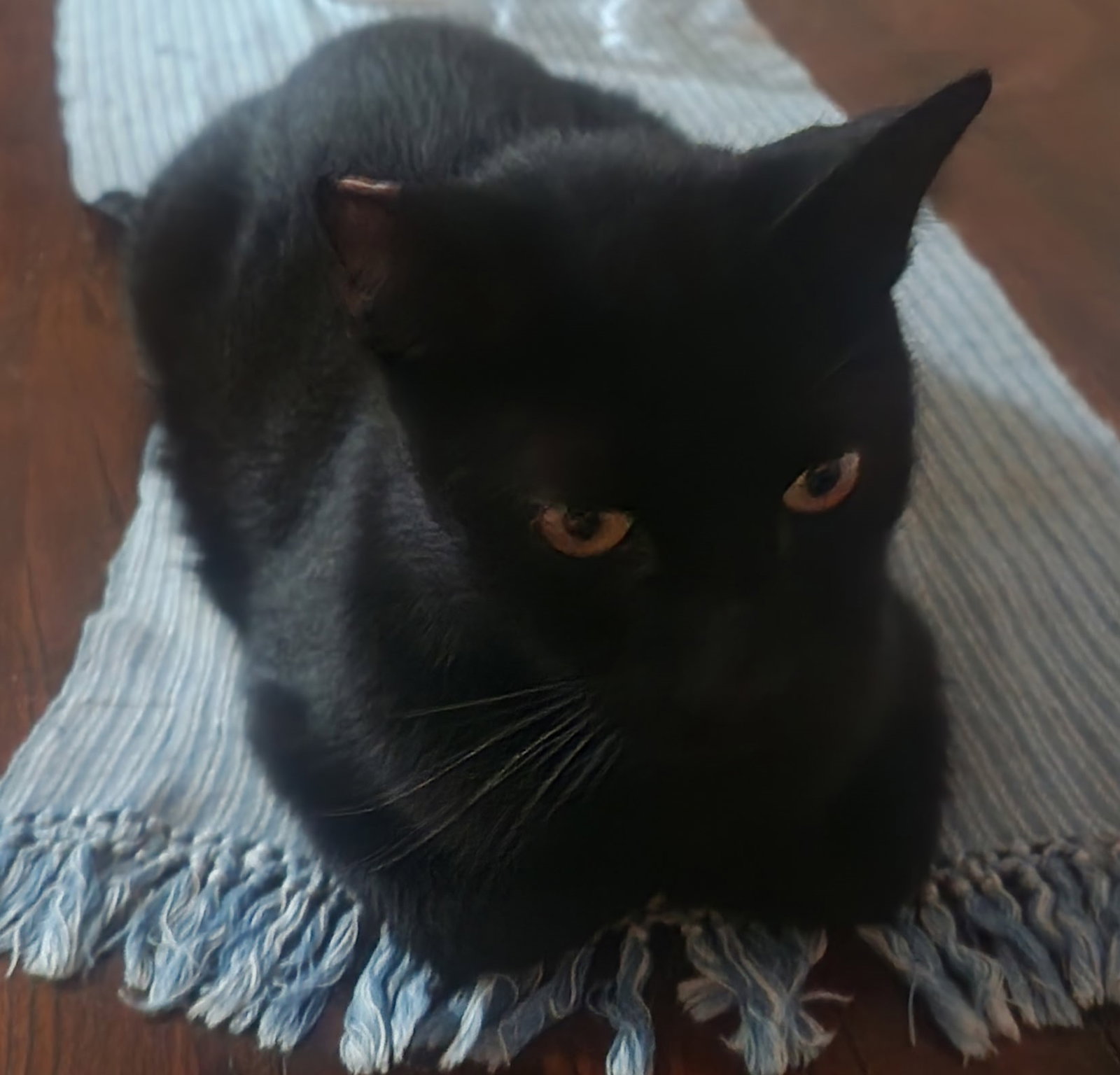 Salem Image