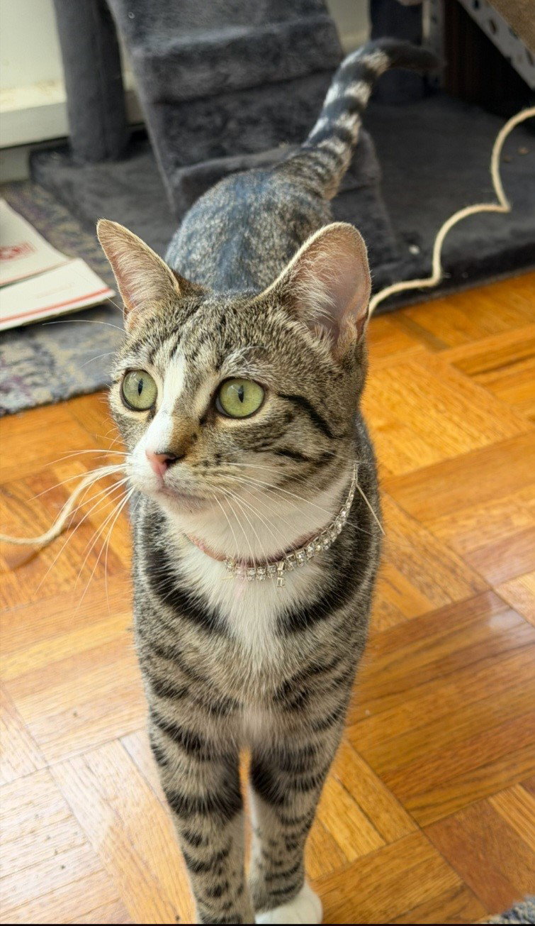 Valentina, photo 2