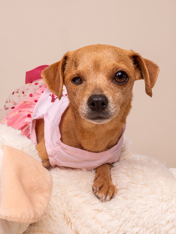 Chiquita