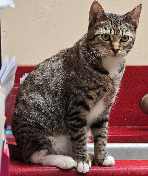 Photo 3 of Luna
