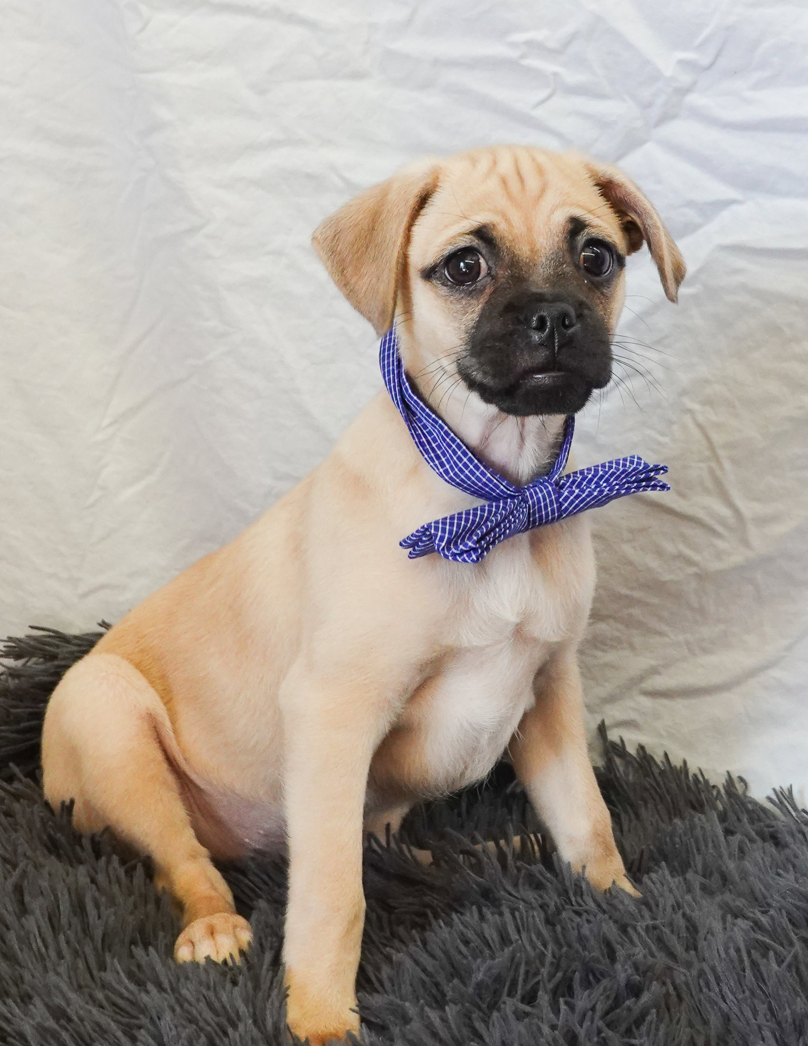 New Kid on the Block, photo 2