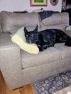 Saxom - Photo 1