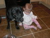 Little Cole- Fostered in MD