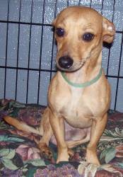 Jeager - Fostered