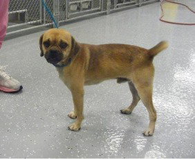 Chachie (URGENT)