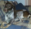 Sadie