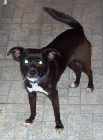 Matilida - Fostered