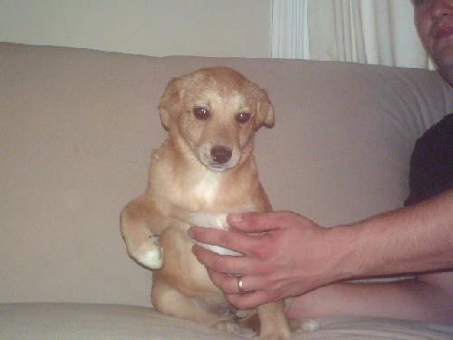 Casey- URGENT