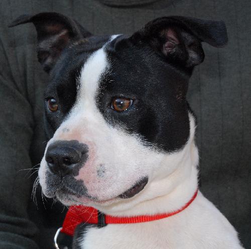 Lucy - URGENT