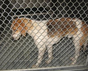 Tucker- URGENT