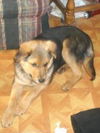 Julie