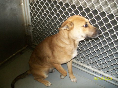 Maxine- URGENT