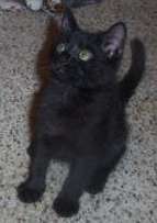 Theodore