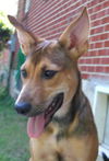 Roxie