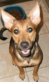 Roxie