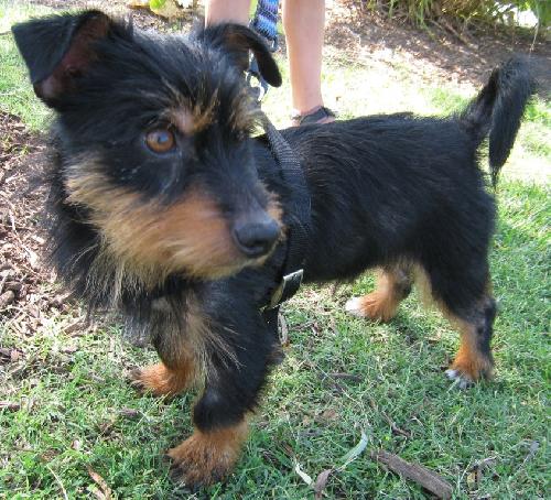 Charlie