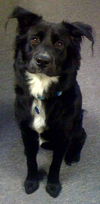 Bailey aka Baybay