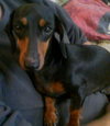Maggie