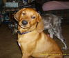 Shiloh