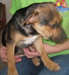 Monty