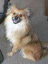 Rusty
