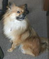 Rusty