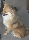 Rusty