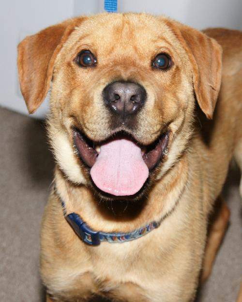 Winston