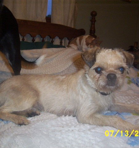 Wilbur