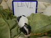 Levi - ADOPTED