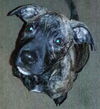 Romeo