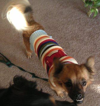 May - Fostered
