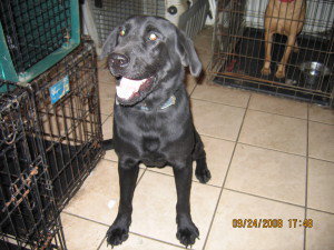 Midnight (URGENT)