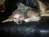 June Bug