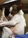 Lucy