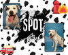 adoptable Dog in Pearland, TX named SPOT