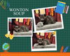 adoptable Cat in Pearland, TX named WONTON SOUP