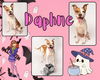 adoptable Dog in Pearland, TX named DAPHNE