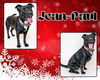 adoptable Dog in Pearland, TX named JEAN-PAUL