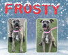 adoptable Dog in Pearland, TX named FROSTY