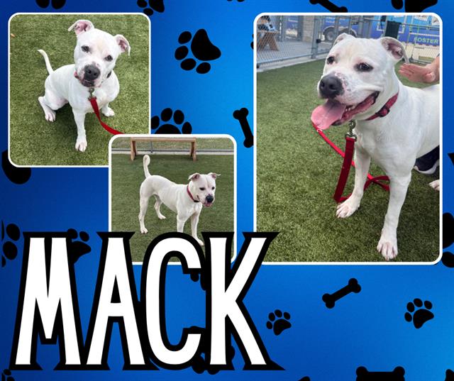 MACK
