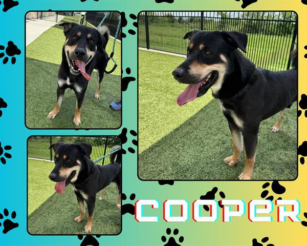 COOPER