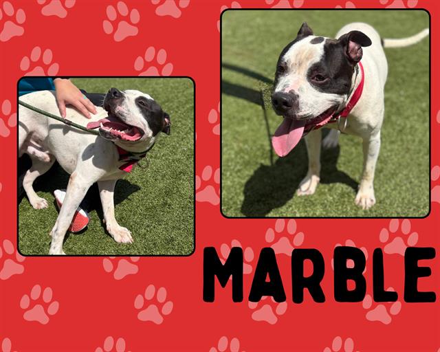 MARBLE