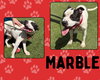 MARBLE - Photo 1