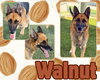 WALNUT - Photo 1