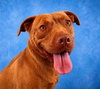MAVERICK - Photo 1