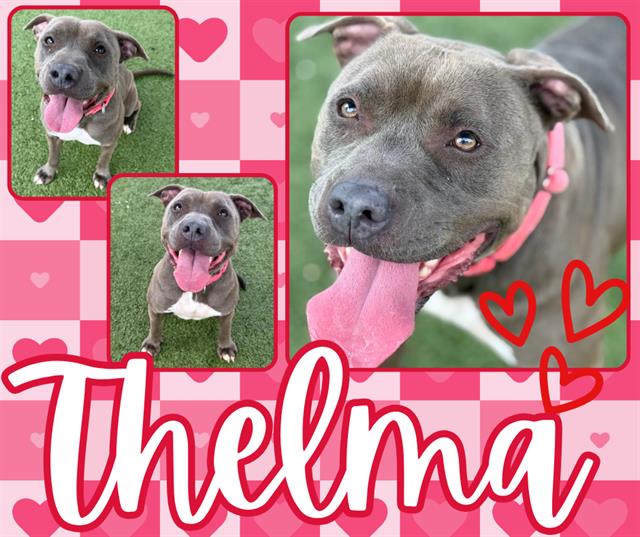 THELMA