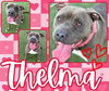 THELMA - Photo 1