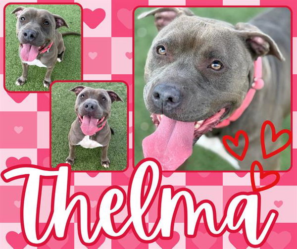 THELMA