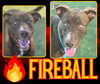 FIREBALL - Photo 1